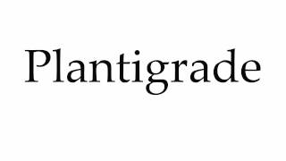 How to Pronounce Plantigrade [upl. by Pfaff]