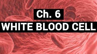 Ch6 WHITE BLOOD CELL  BLOOD PHYSIOLOGY [upl. by Peterman]