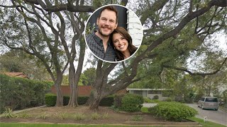 Chris Pratt and Katherine Schwarzenegger Demolished a Craig Ellwood and the Internet Is Furious [upl. by Edurtreg]