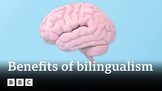 Is being bilingual good for you brain  BBC Ideas [upl. by Gaylene]