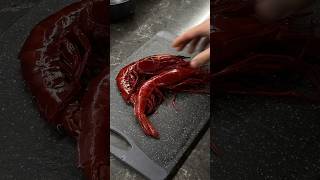 The Most Expensive Prawns  Carabineros 🤌🏻 [upl. by Haram]