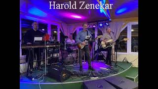 Harold Zenekar Hosszú fekete haj mix 2024 [upl. by Norok841]