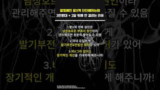 말캉해진 그곳 하루 천원으로 해결  발기력 개선 특허 성분 최초공개 [upl. by Neelrahc661]