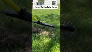 The BEST Dethatching Rake shorts lawncare [upl. by Aneez]