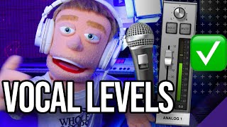 How To Record Vocals  Mic Setup Levels UAD Console [upl. by Aicilana]