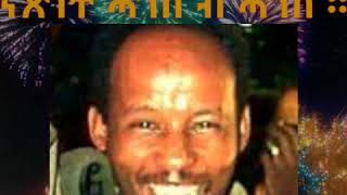 Eritrean Music  Hailab Bereket  Selaila  2020 [upl. by Kreegar]