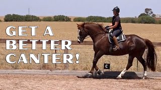 How To School A Horse To Improve The Canter [upl. by Sissy]