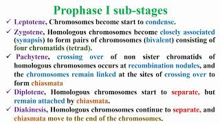 Prophase I Substages in Meiosis I of Meiosis Divisions [upl. by Auqeenahs893]