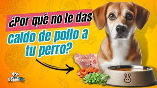 CALDO DE POLLO PARA PERROS [upl. by Rhines]