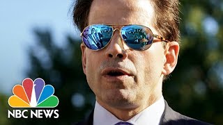 Meet quotThe Moochquot Who Is Anthony Scaramucci  NBC News [upl. by Nniw]