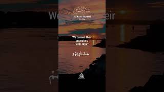 Surah Ya Sin 3844 shorts islam god truth quran quranrecitation yasin verses signs [upl. by Salguod514]