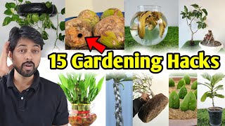 20 Small Garden Ideas on a Budget for Vegetables [upl. by Fachan807]