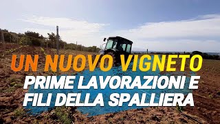 IMPIANTO DI UN NUOVO VIGNETO EP 7 Prime lavorazioni e completamento della spalliera [upl. by Iseabal]