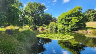 Christchurch To Timaru Botanic Gardens South Island New Zealand 4K Video [upl. by Wyly93]