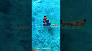 Swim with the Fish in Maratua Island Borneo Indonesia shorts [upl. by Anoniw]