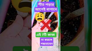 শীতে গাছ তরতাজা রাখতে এখনি করুন এই 7টি কাজ wintergarden plantcare gardening nurserytricks hack [upl. by Lewej]