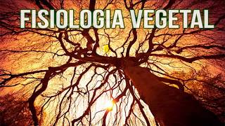 Fisiologia Vegetal [upl. by Tessie]