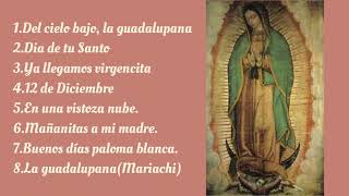 Cántos a la virgen de Guadalupe [upl. by Hallee]