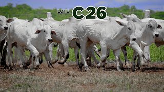 LOTE C26 [upl. by Allisirp757]