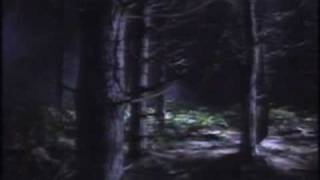 Strange But True  Rendlesham Forest UFO Incident  2 of 3 [upl. by Fidellas597]