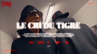 VL  LE CRI DU TIGRE feat SLIMKA Xclu du 19 Septembre 2024 [upl. by Ayahs405]