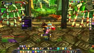 Zulian Tiger Drop  ZulGurub  PTR Realm  World of Warcraft [upl. by Aicerg865]