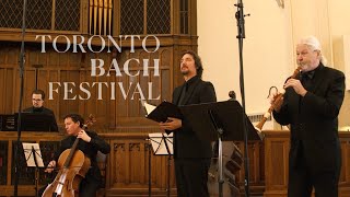 Discover Bach  Episode Seven  Toronto Bach Festival [upl. by Attenaj]