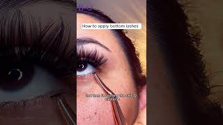 Learn how to fit trim and apply your false eyelashes BampQ Lashes diylashextensions [upl. by Azrim527]