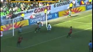 Santos Campeón Clausura 2012 Todos los Goles 33 [upl. by Corotto]