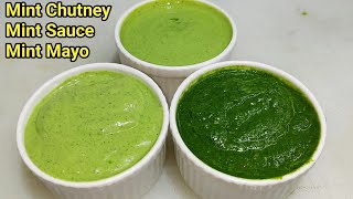 3 तरीके की हरी चटनी बनाने की विधि  Green Chutney Recipe  Mint Chutney  Mint Mayo  Chef Ashok [upl. by Pronty741]