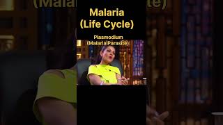 Malaria 🤣 funny neet biology [upl. by Eilyac]