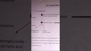 digestion of carbohydratesprotein and fats [upl. by Landers559]