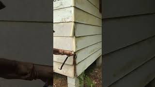 Removing siding RIM JOIST REPAIR remove siding repair rim joist renovation [upl. by Eimat894]