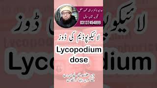 Lycopodium homeopathic medicine dose [upl. by Hauge2]