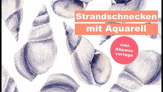 Strandschnecken mit granulierenden Aquarellfarben [upl. by Erbua944]