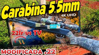 Carabina de pressão 55mm modificada pra 22lr vs TV 4k [upl. by Jak21]