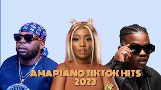 Amapiano Tiktok Hits 2023 [upl. by Wilterdink]