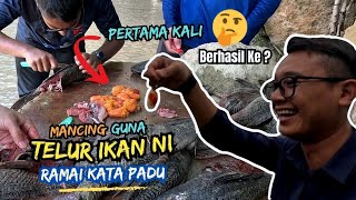 Betul ke BERHASIL atau Dongeng Sematamata  🤔 Pertama kali mancing guna TELUR IKAN Bandaraya [upl. by Kal]