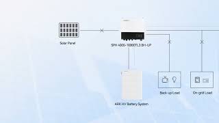 SPH 4000 10000TL3 BH UP [upl. by Stromberg]