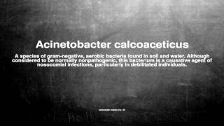 Medical vocabulary What does Acinetobacter calcoaceticus mean [upl. by Nahsar]