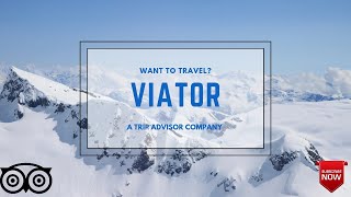 What is Viator Viator tours  Viator travels  via tor  tripadvisor [upl. by Ehpotsirhc852]