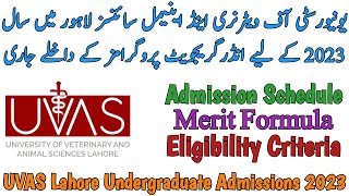 UVAS LAHORE UNDERGRADUATE ADMISSIONS 2023  MERIT FORMULA  DVMPharm D  HOW TO APPLY [upl. by Nwaf]