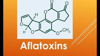 overview Aflatoxin [upl. by Mal956]