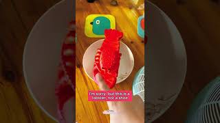 🦐🦐🦐Cubpi mistook his pair of slippers for a lobster Hilarious video toysdiy funny trending [upl. by Nidorf]