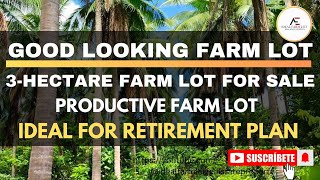 Vlog085 3Hectare farm lot for sale productive farm lot for only 18m [upl. by Clio538]