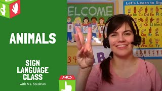 Animals  Sign Language Class with Ms Stedman [upl. by Ailerua]