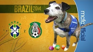 Brazil v Mexico  WORLD CUP DOG PREDICTIONS [upl. by Ekaj]