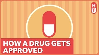 How Does the FDA Approve a Drug [upl. by Delacourt745]