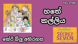 හතේ කල්ලියThe Secret Seven Full Story අභිරහස් කතා translations [upl. by Acinomed261]