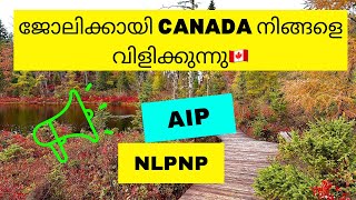 കാനഡയിലേക്ക് വരാൻ ആഗ്രഹിക്കുന്നവർക്കു Virtual Job Fair  Newfoundland NLPNP amp AIP  Canada Malayalam [upl. by Oringas]